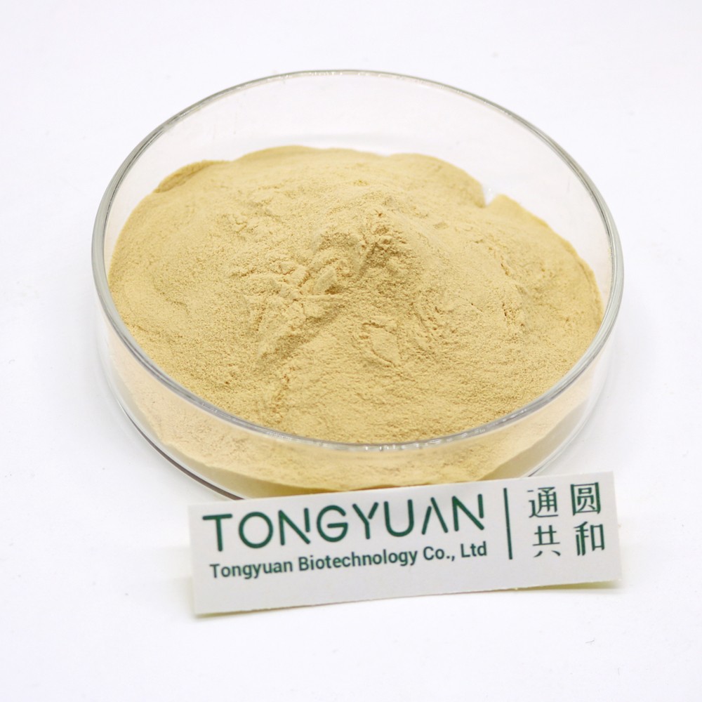 H54a10bb7077242a8bd716e2d70891d0fx