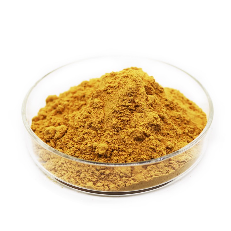 Moringa Leaf Extract-3