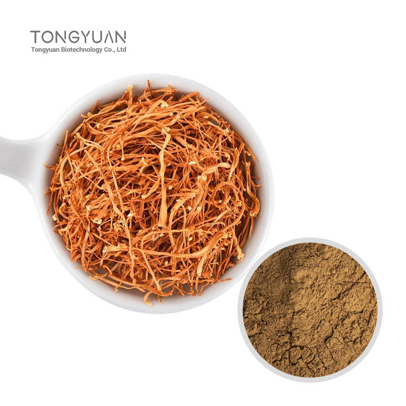 廣東蟲草子實(shí)體提取物