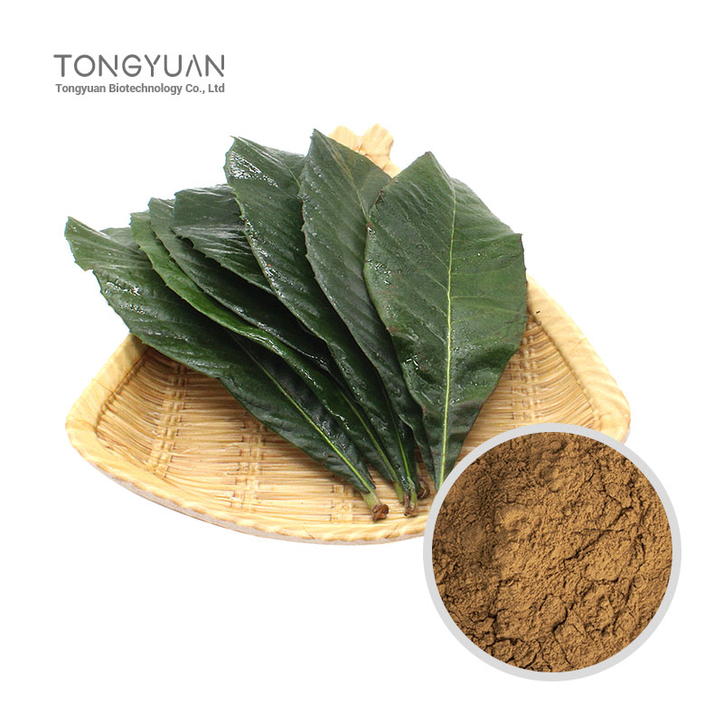 枇杷葉提取物