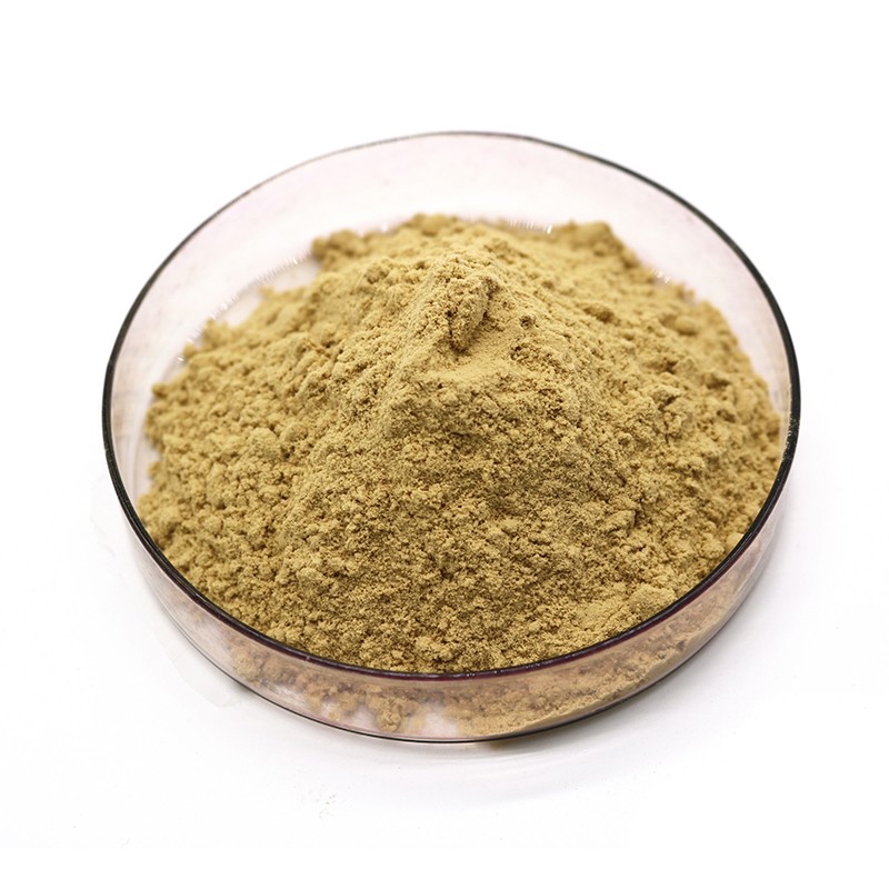 補(bǔ)骨脂提取物 (3)