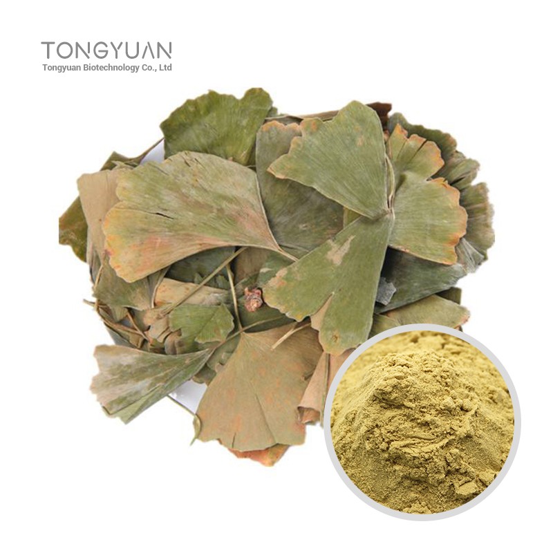 銀杏葉提取物 (1)
