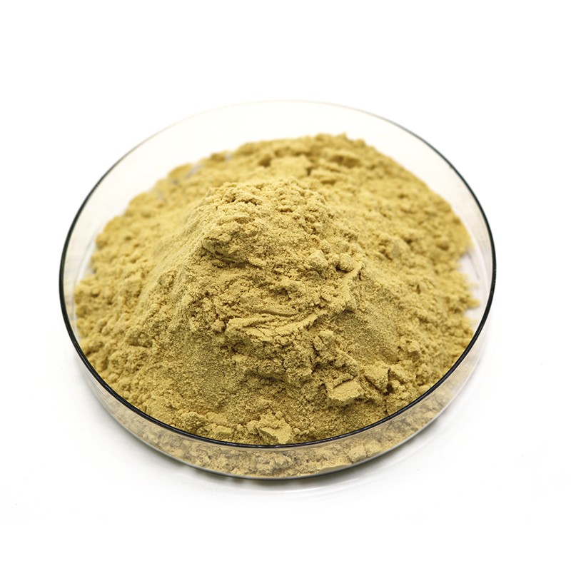 銀杏葉提取物 (3)